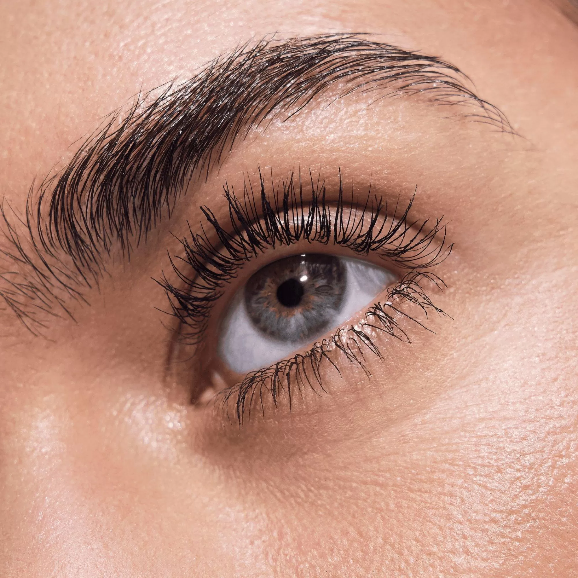 essence Mascara | LIFT UP Volume & Lift Mascara Power Hold Waterproof Disney Pixar Finding Dory