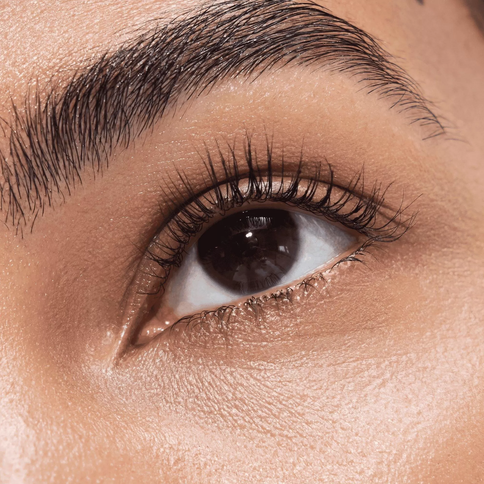 essence Mascara | LIFT UP Volume & Lift Mascara Power Hold Waterproof Disney Pixar Finding Dory